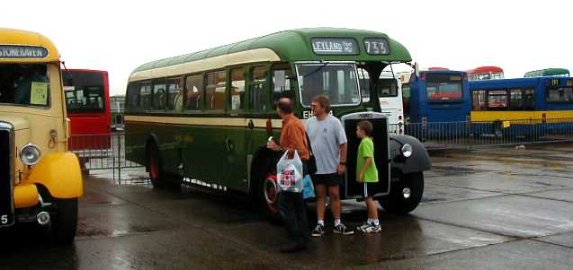 West Riding Tiger